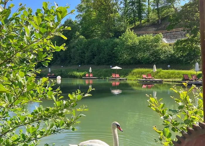 Deimann שמאלנברג