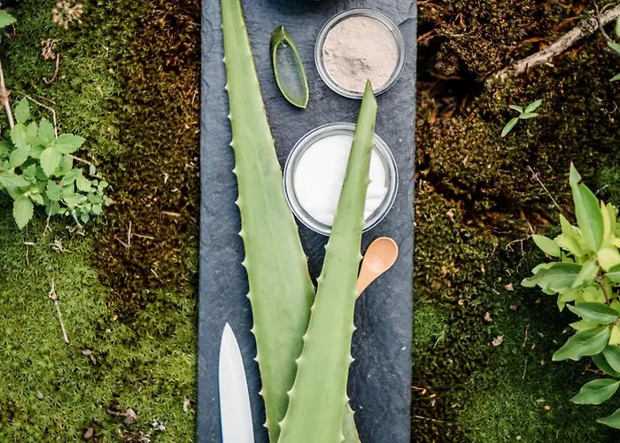 Hotel Deimann Schmallenberg